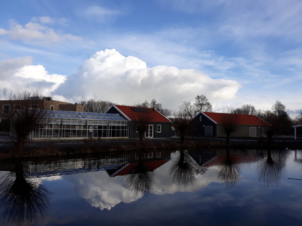 Dagbesteding3